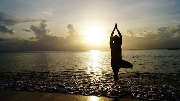 Pratiquer le yoga avec son animal de compagnie : bonne ou mauvaise idée ?